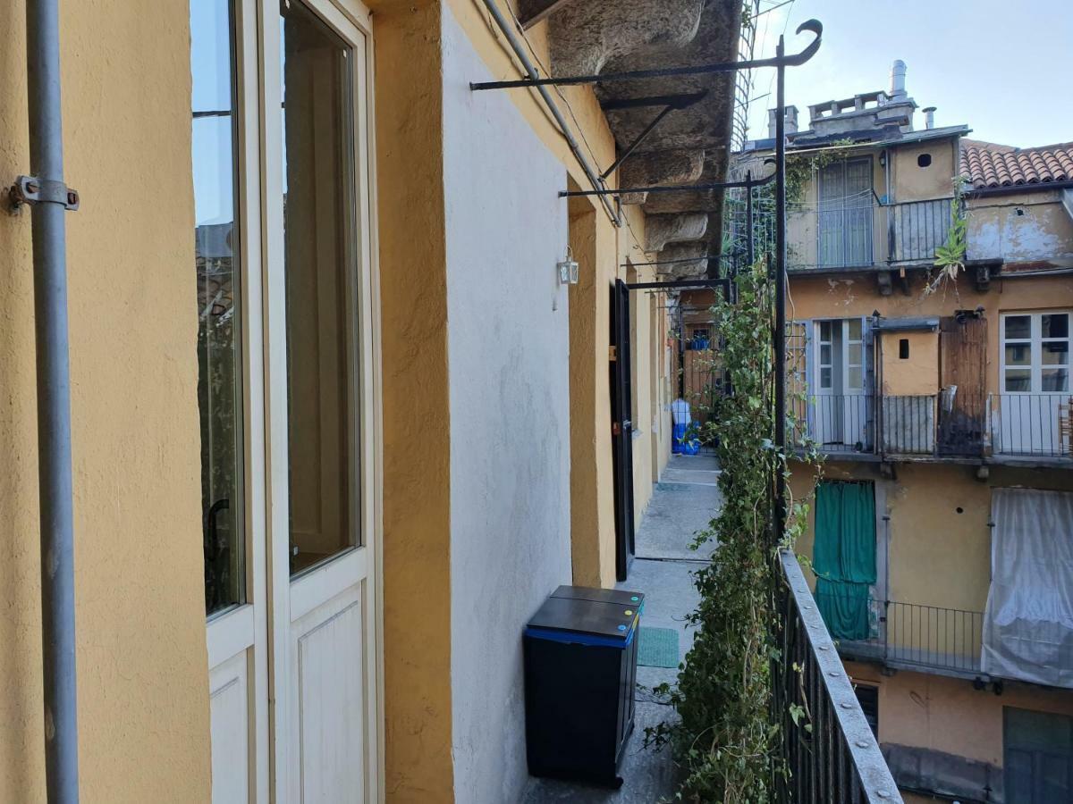 Palatina * Turin
